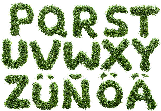 istock alphabet made of green grass isolated on white 637264654