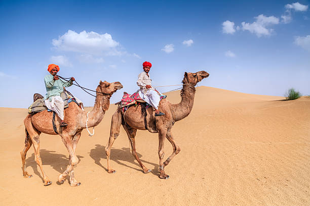 istock Indian men riding camels on sand dunes, Rajasthan, India 637265838