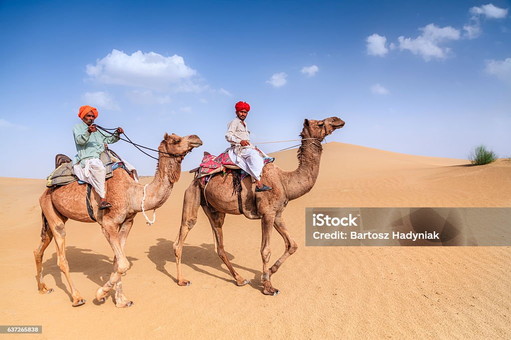 Indian men riding camels on sand dunes, Rajasthan, India Camel Stock Photo