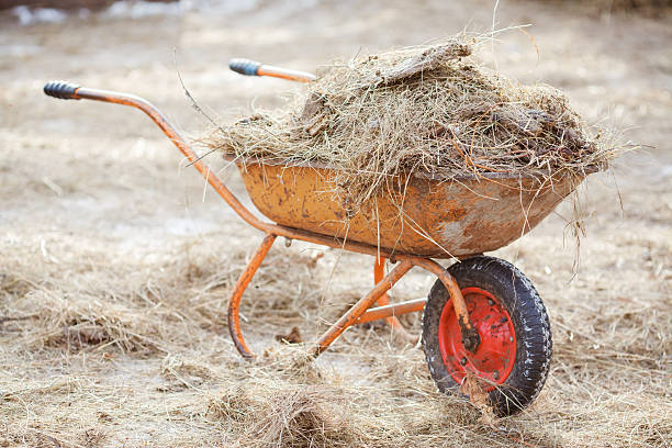 istock Wheelbarrow with hay and manure, cleaning paddocks 637266652