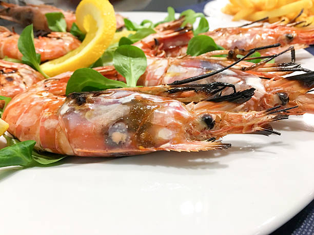 istock Jumbo shrimps on plate 637269150