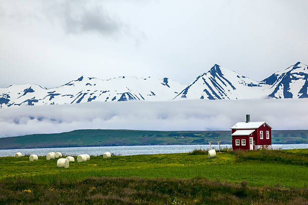 istock The small farm with red walls 637269476