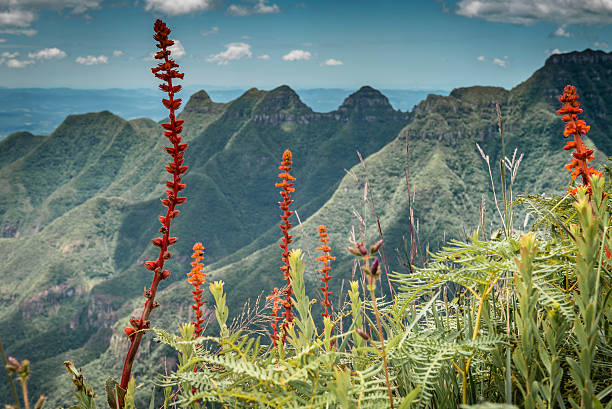 istock Canion da Ronda - Brazil 637271936