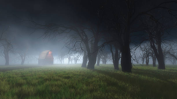 istock Mysterious foggy forest with illuminated old barn. 637274820