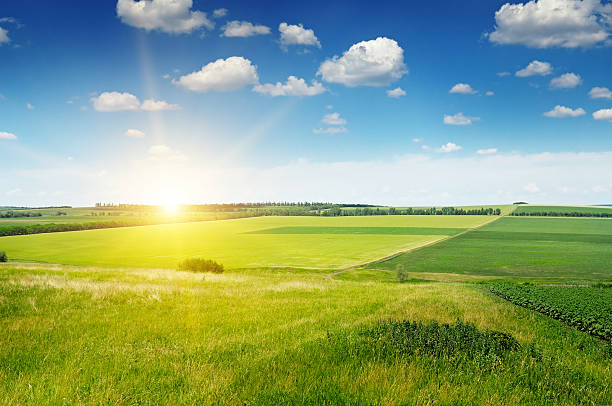 istock hilly terrain, spring field and sunrise on blue sky 637279884