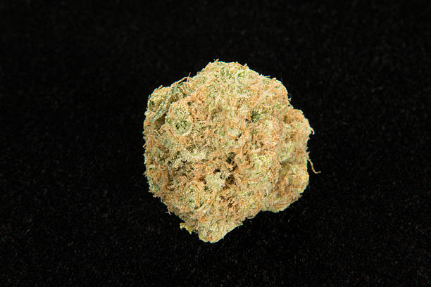 Golden Goat Cannabis Flower stock photo