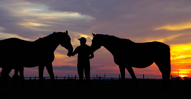 istock Taking care of the horses 637282272