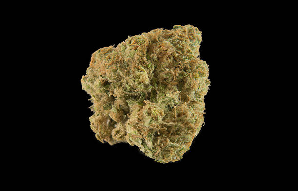 Cannabis Flower on black stock photo