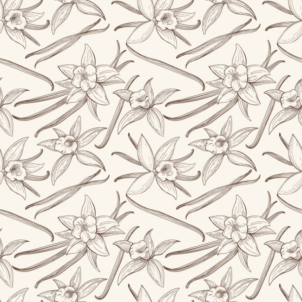 Vanilla stick and flower vector hand drawn seamless pattern Vanilla stick and flower vector hand drawn seamless pattern. Flavor vanilla blossom illustration same taste stock illustrations