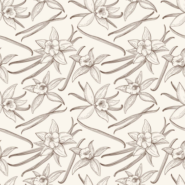 Vanilla stick and flower vector hand drawn seamless pattern Vanilla stick and flower vector hand drawn seamless pattern. Flavor vanilla blossom illustration vajilla stock illustrations