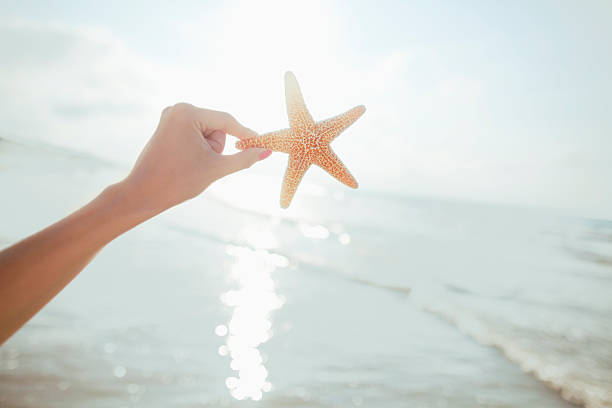 Woman holding starfish at the beach in Hilton Head, South Carolina