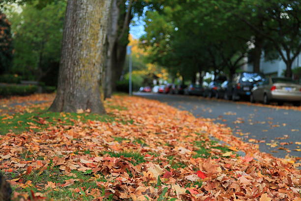 istock Change Of Season 637285868