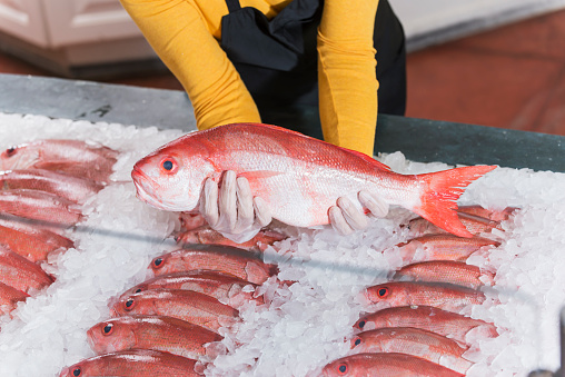Fresh fish, red snapper, for sale in seafood store. A female worker wearing gloves is holding up a whole fish.