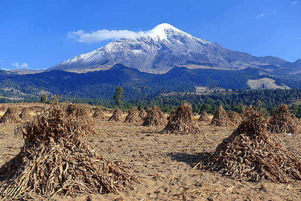 vulkan pico de orizaba, der höchste berg mexikos - schichtvulkan stock-fotos und bilder