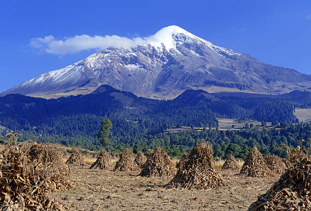 Pico de Orizaba volcano, the highest mountain in Mexico Pico de Orizaba volcano, or Citlaltepetl, is the highest mountain in Mexico, maintains glaciers and is a popular peak to climb along with Iztaccihuatl and other volcanoes in the country popocatepetl volcano photos stock pictures, royalty-free photos & images