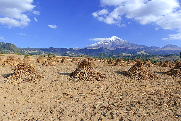 istock Pico de Orizaba volcano, the highest mountain in Mexico 637293542