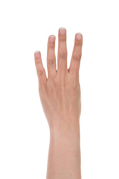 istock hands show the number four 637293966