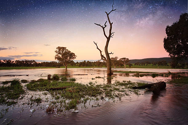 floodwaters dal tramonto all'outback australia serale - floodwaters foto e immagini stock