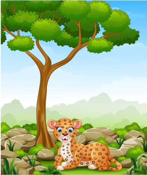 Cartoon Leopard Lay Down In The Jungle Stock Illustration - Download Image  Now - Africa, African Culture, Animal - iStock