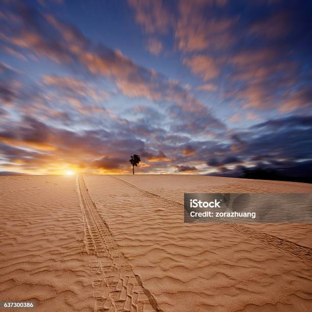 Desert At Sunset Stock Photo - Download Image Now - Car, Horizon Over Land, Land Vehicle