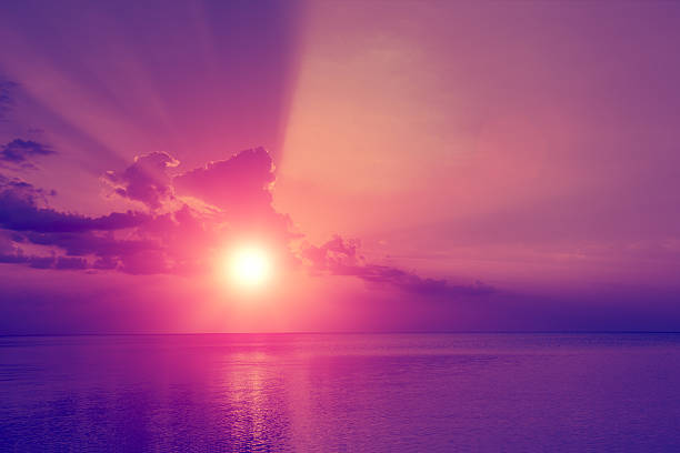 istock Magic purple sunset over sea 637301966
