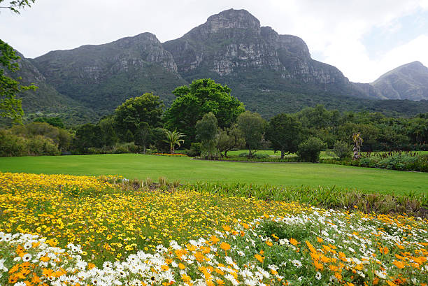 istock Beautiful flower bed landscape 637302316