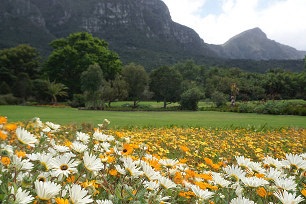 istock Beautiful flower bed landscape 637304528