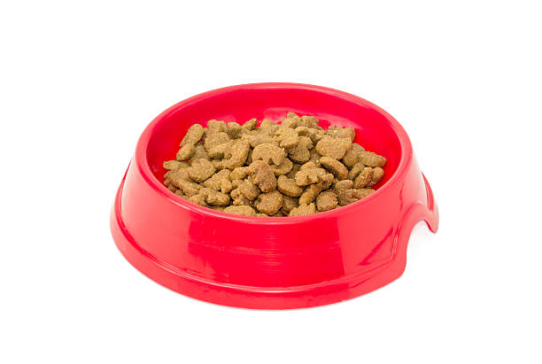 istock Dry cat food in a red plastic bowl 637307750