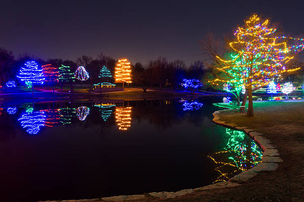 istock Christmas Decorated Lake with Lights 637308296