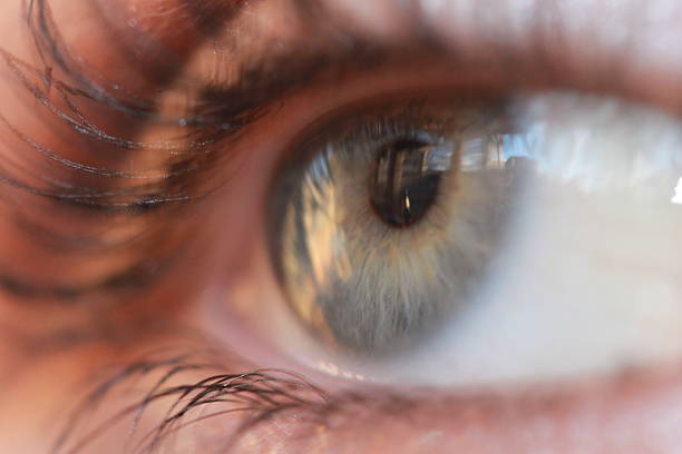 istock macro photo of eyes 637309312