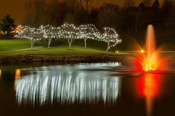istock Christmas Lights With a Pond Fountain 637310468