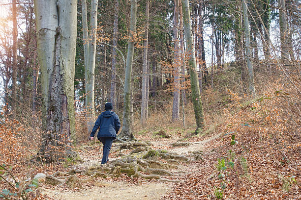 istock Woman hiking in the dull forest 637315492