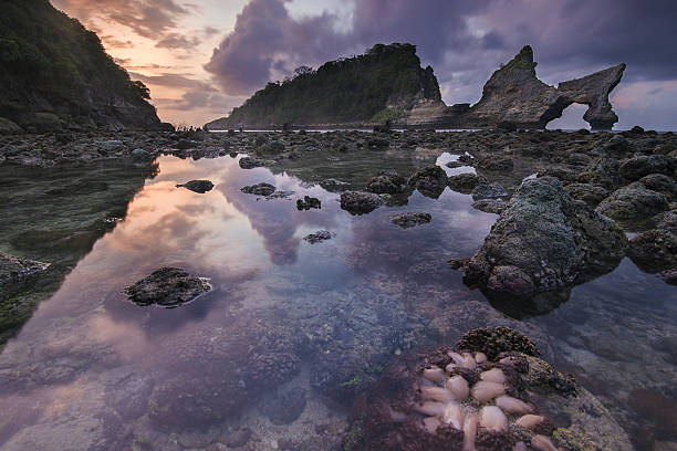 istock beautiful Morning in Bali Indonesia 637321608