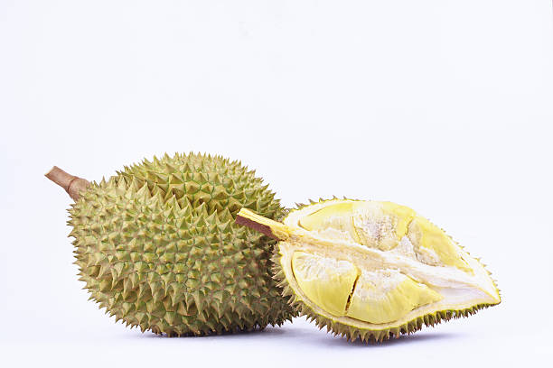 istock durian mon thong  is fruit  tropical durian 637323868