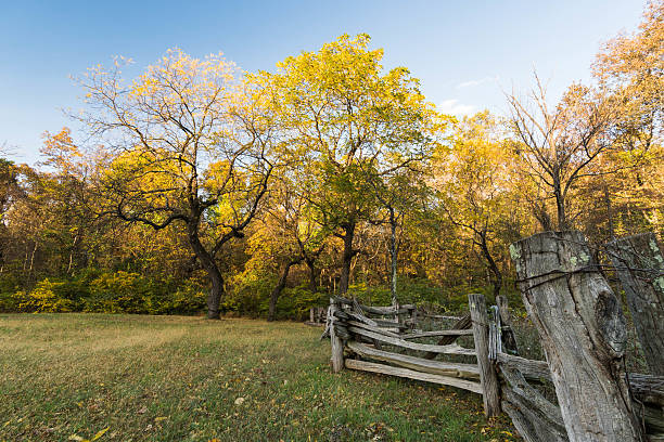istock old wooden fence with a field and trees 637324490