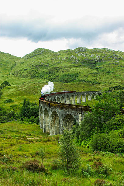 il viadotto ferroviario del viadotto di glenfinnan sulla west highland line - glenfinnan foto e immagini stock
