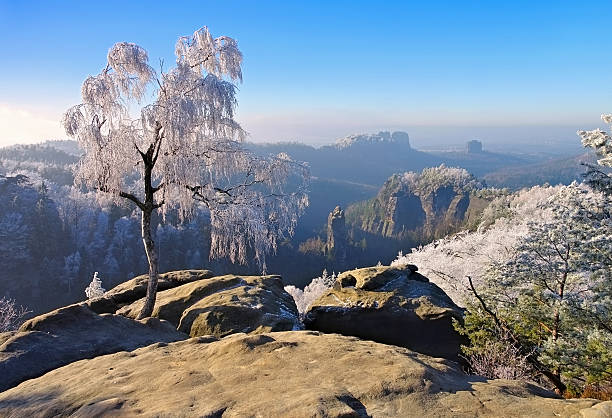 Elbe sandstone mountains in winter and hoarfrost, Carolarock