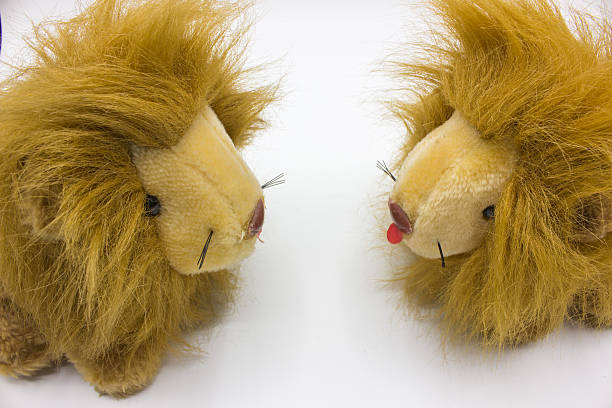 istock fluffy dolls lions facing each other on a white background. 637330190
