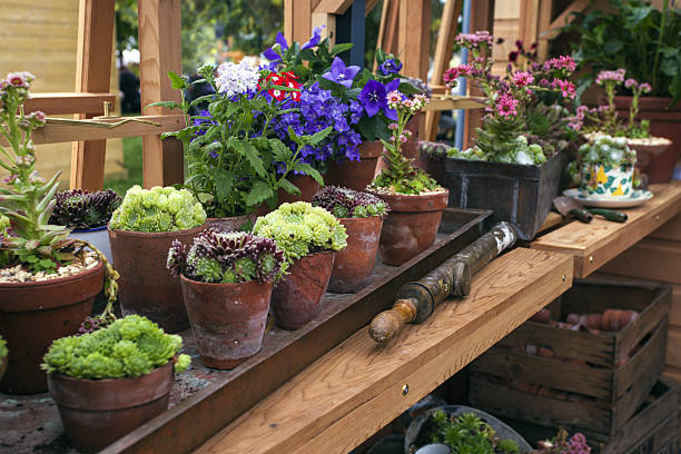 istock Greenhouse with potted plants 637335634