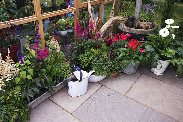 istock Blooming plants near a greenhouse 637336086