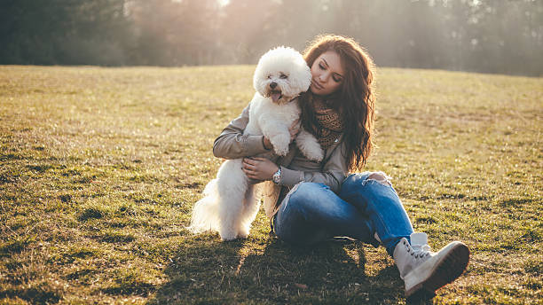 istock I love my fluffy dog so much! 637338788