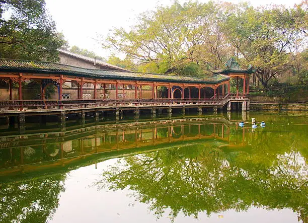 Landscape of chinese park. Chongqing. China.