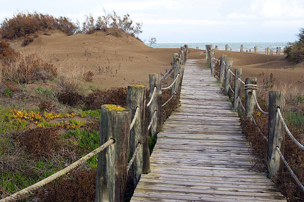 istock Wood bridge in Riumar beach.Deltebre.Catalonia,Spain 637340452