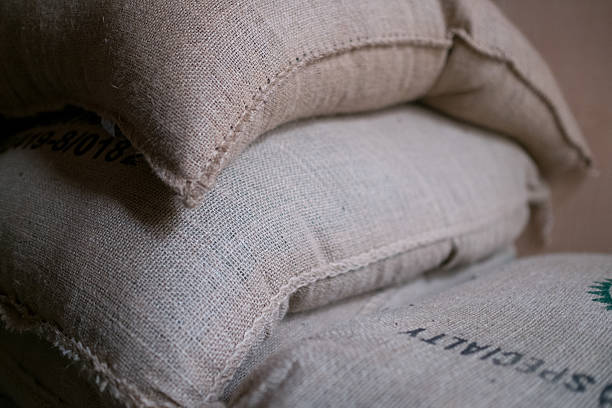 istock Piled coffee sacks full of green beans side on. 637340464