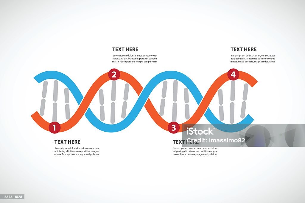 Dna Backlog Table Dna Timeline Stock Illustration - Download Image Now - DNA, Flow Chart ...
