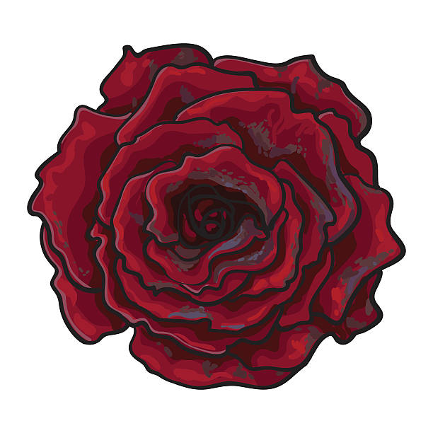 60+ Ruby Rose Stock Illustrations, Royalty-Free Vector Graphics