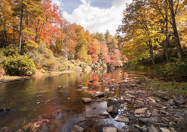 istock river with trees and reflection of fall colors in autumn 637343132