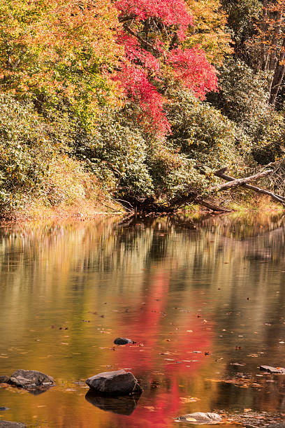 istock river with trees and reflection of fall colors in autumn 637343216