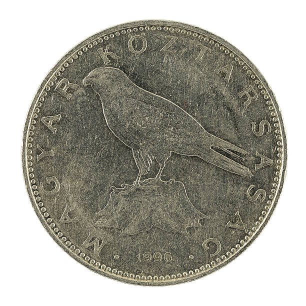 istock 50 hungarian forint coin (1996) isolated on white background 637343982