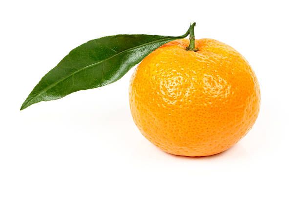istock Fresh Tangerine with leaves 637347754
